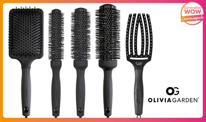 Professionelles Haarbürsten-Set